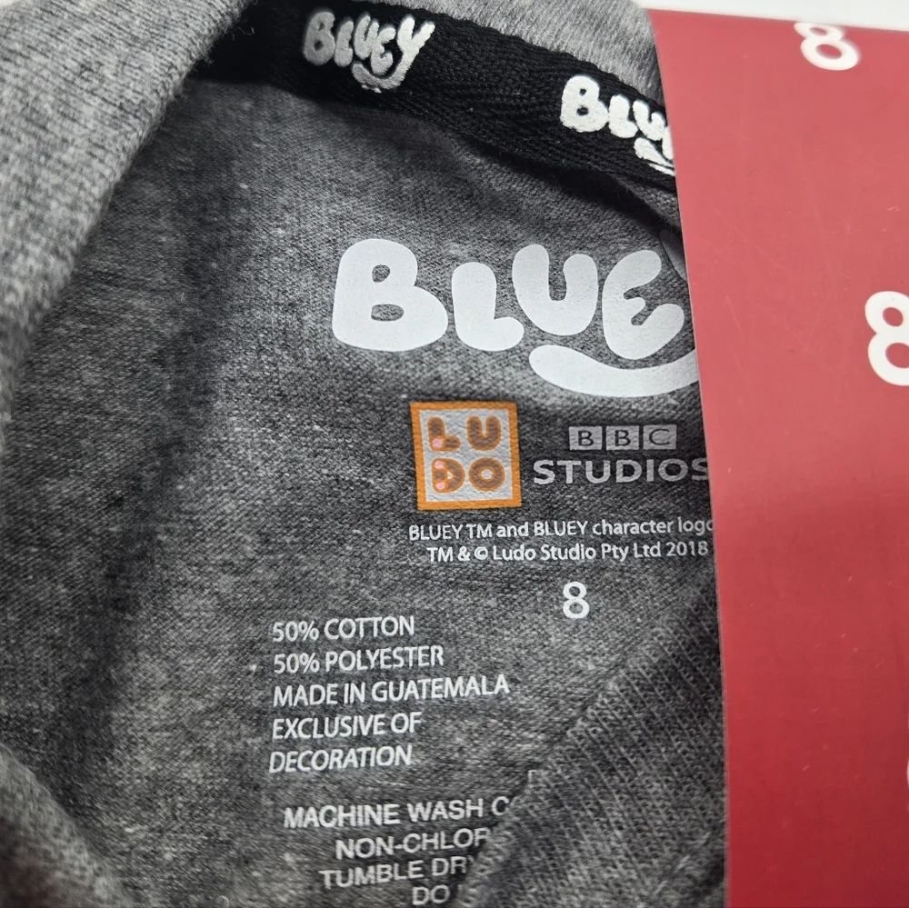 Bluey Unisex Pumpkin Halloween T-Shirt Gray 8
